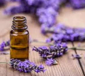 Essential Oils Guide for Hair Growth, Glowing Skin | DIY Beauty Recipes (PDF Ebook)